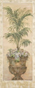 Parlor Palm II