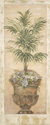 Parlor Palm III