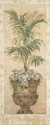 Parlor Palm IV