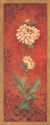 Chrysanthemum