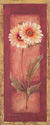 Red Door Gaillardia