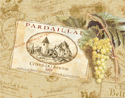 Pardaillan