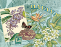 Havana