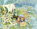 Bahamas