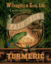 Turmeric