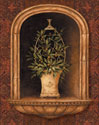 Olive Topiary Niches I