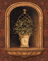Olive Topiary Niches II