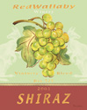 Shiraz
