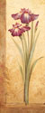 Grandiflora I