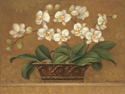 Orchid Tapestry