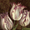 Trio I