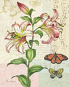 Oripet Lily Collage