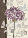 Chelsea Purple I