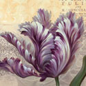 Purple Garden II
