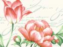 Pink Blossoms I