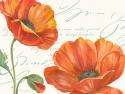 Orange Poppies I