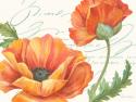 Orange Poppies II