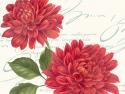 Red Dahlias