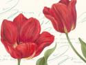 Red Tulips