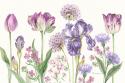 Purple Flowers
