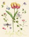 Lang of Flowers I