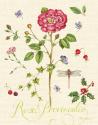 Lang of Flowers II