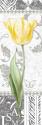 Damask Gray Tulip Panel II