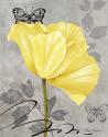 Gray & Yellow Poppies I