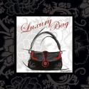 Luxury Bag