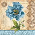 Poppy