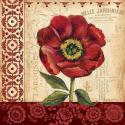 Vintage Poppy