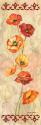 Scarlet Poppies II