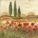 Poppy Field II