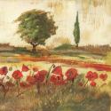 Poppy Field III