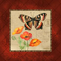 Butterfly & Poppies