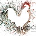 Party Rooster I