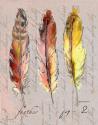 Three Feathers II