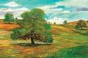 Wild Poppy Landscape I