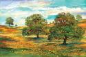 Wild Poppy Landscape II