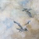 Coastal Birds II