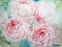 Pink Peonies I