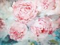 Pink Peonies II