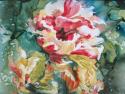 Parrot Tulips II