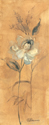 Golden Flower I