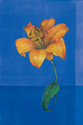 Flower on Blue