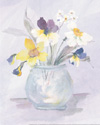 From Nicoletta's Garden III