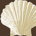 Natural Shell IV