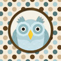 O is for Owl I
