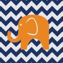 Orange Elephant