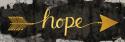 Hope Arrow